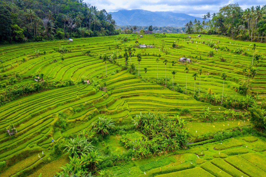 Ubud