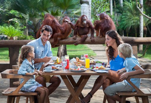 Bali Zoo Breakfast With Orangutan