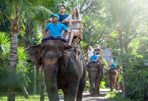 Elephant Expedition at Bali Zoo